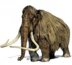 La falta de agua pudo acabar con mamuts en isla de Alaska 