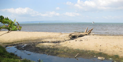 Pescadores denuncian playas de Sabana de la Mar están en estado de emergencias
