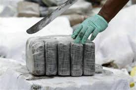 Decomisan una tonelada de cocaína en Colombia 

