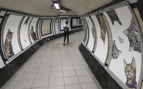 Anuncios de gatos inundan una estación del metro de Londres