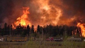 Mil personas evacuadas por fuego forestal en este de España 