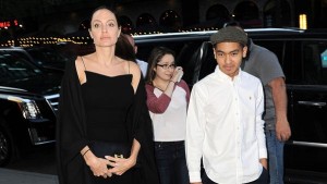 Qué pasó en el fatídico vuelo que selló la separación entre Brad Pitt y Angelina Jolie