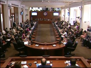 Informe: OEA recomienda considerar desvincular votaciones senadores y diputados en RD
