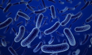 Científicos de Harvard muestran la resistencia de bacterias a antibióticos