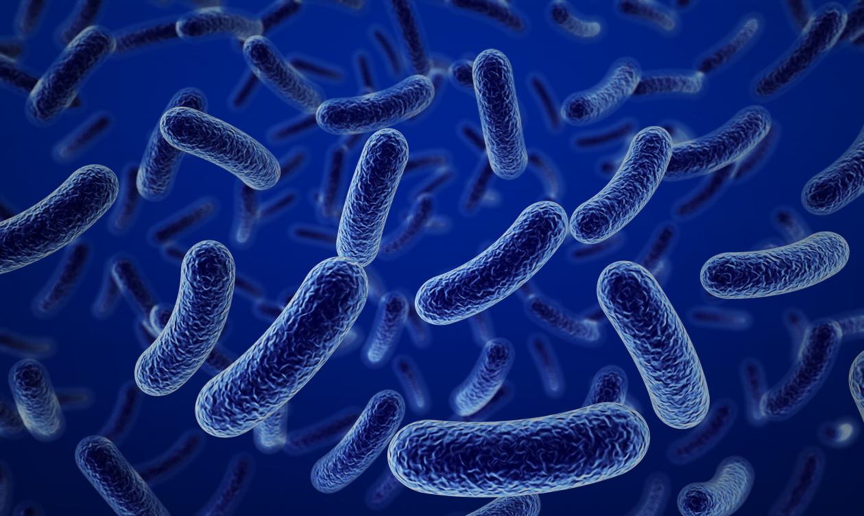 Científicos de Harvard muestran la resistencia de bacterias a antibióticos