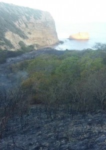 Apagan fuego de El Morro; investigan origen