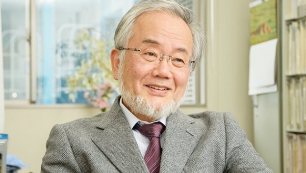 Yoshinori Ohsumi gana el Premio Nobel de Medicina
