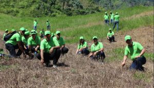 Bonao: COOPINFA planta más de mil árboles en apoyo a campaña de preservación medioambiental