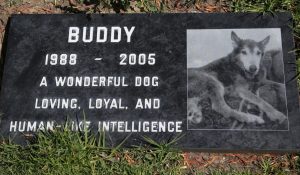 Nueva York aprueba por ley que las mascotas puedan ser enterradas junto con sus dueños