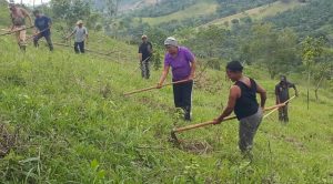 Medio Ambiente destaca la participación de la mujer en jornadas de reforestación