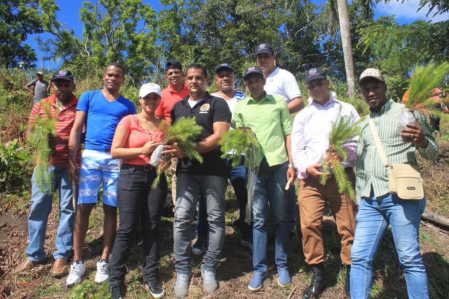 Reporteros Gráficos siembran 1000 plantas de pino en Loma Novilleros, Villa Altagracia