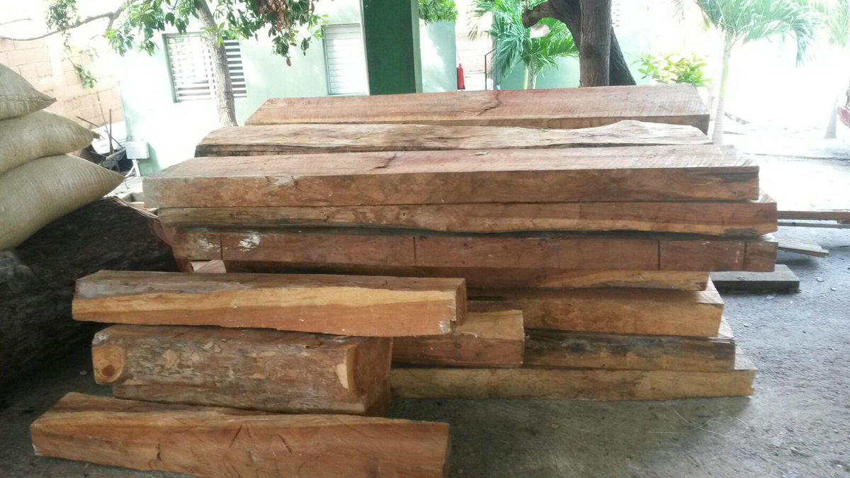 Medio Ambiente decomisa madera de caoba y carbón en P. Plata y Valverde