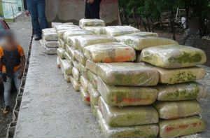 ERD ocupa 148 pacas presunta marihuana en Azua  