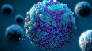 Células humanas alteran material genético del Zika para defenderse de infección