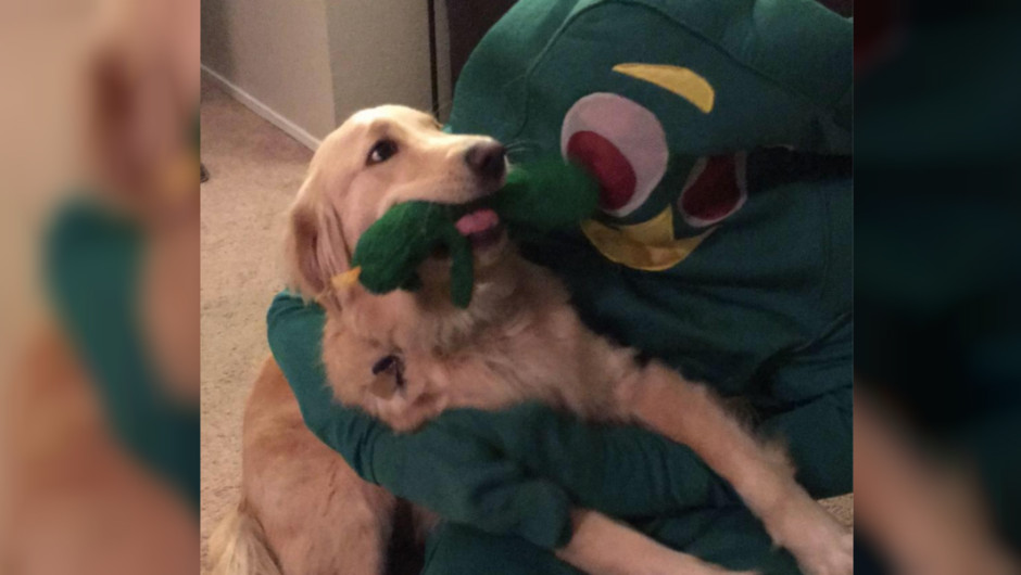 Perro no pudo contener su emoción al ver a su juguete preferido cobrar vida