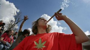 California, Massachusetts y Nevada legalizan el uso recreativo de la marihuana