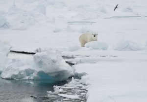 Aumenta la temperatura en archipiélago ártico de Noruega