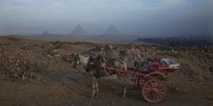 Descubren cementerio y ciudad antigua en Egipto 
