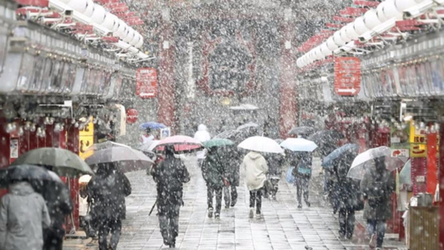 Cae en Tokio la primera nevada en noviembre después de 54 años