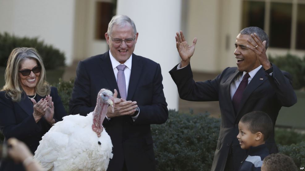 Obama perdona al pavo de Acción de Gracias