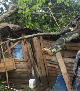 Mueren tres al caer árbol sorbe vivienda en Salcedo