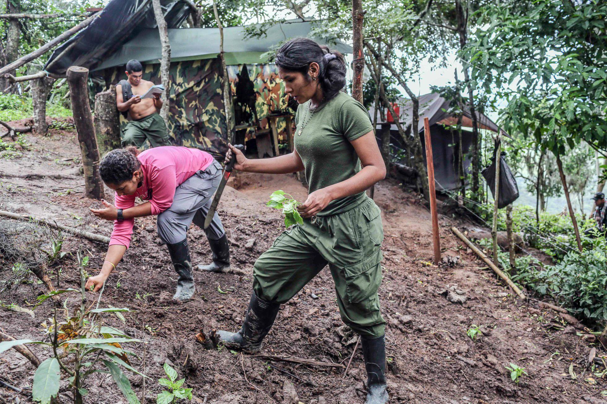 Las FARC se niegan a replegarse a las zonas de desarme si hay riesgo de captura