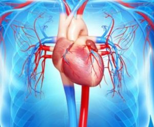 Aprenda a identificar los seis signos tempranos de la insuficiencia cardíaca