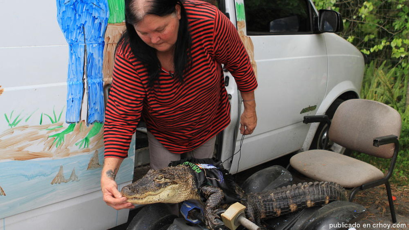 Mujer de Florida gana pleito legal para conservar mascota gigante