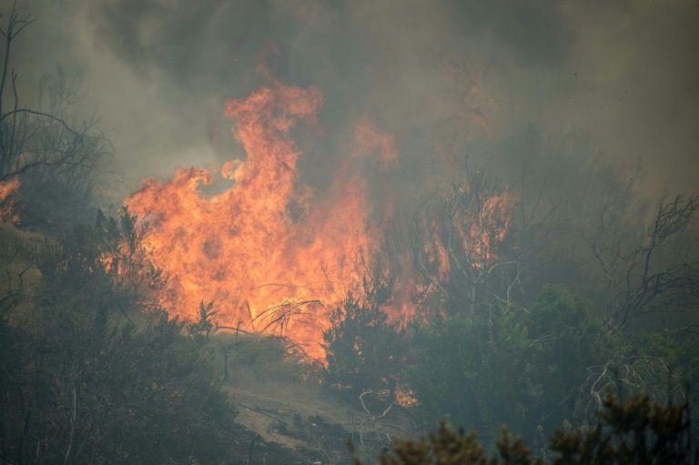 Estado de emergencia en Chile por incendios