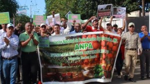 Agropecuarios protestan por males que les afectan  en Sánchez Ramírez