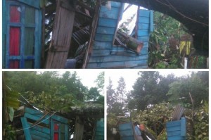Tres personas heridas al caer árbol en vivienda