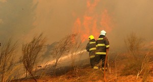 Muere otro bombero y suben a diez víctimas fatales de los incendios forestales en Chile
