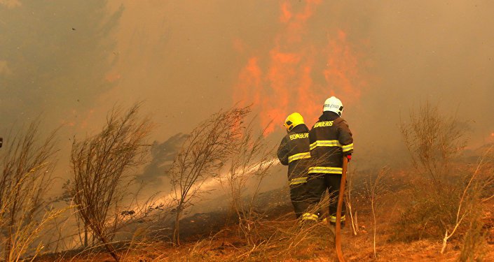 Muere otro bombero y suben a diez víctimas fatales de los incendios forestales en Chile