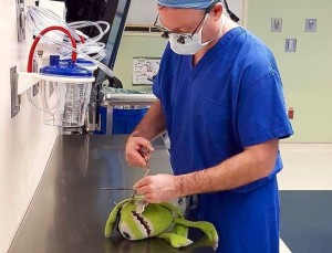 Un cirujano “opera” al juguete favorito de un niño para que no se sienta sólo