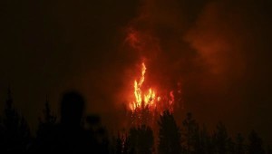 Muere bombero de 27 años tras combatir incendios forestales en Chile
