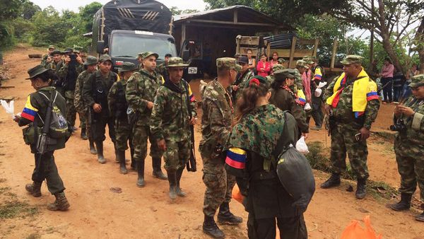 Se completa en Colombia llegada de FARC a zonas donde dejarán armas