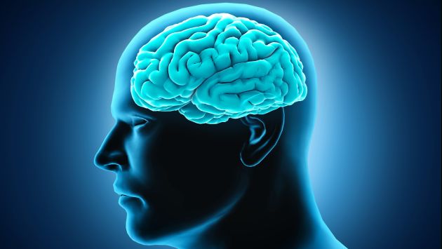 El cerebro es el que construye dolor de otras partes del cuerpo, según un estudio