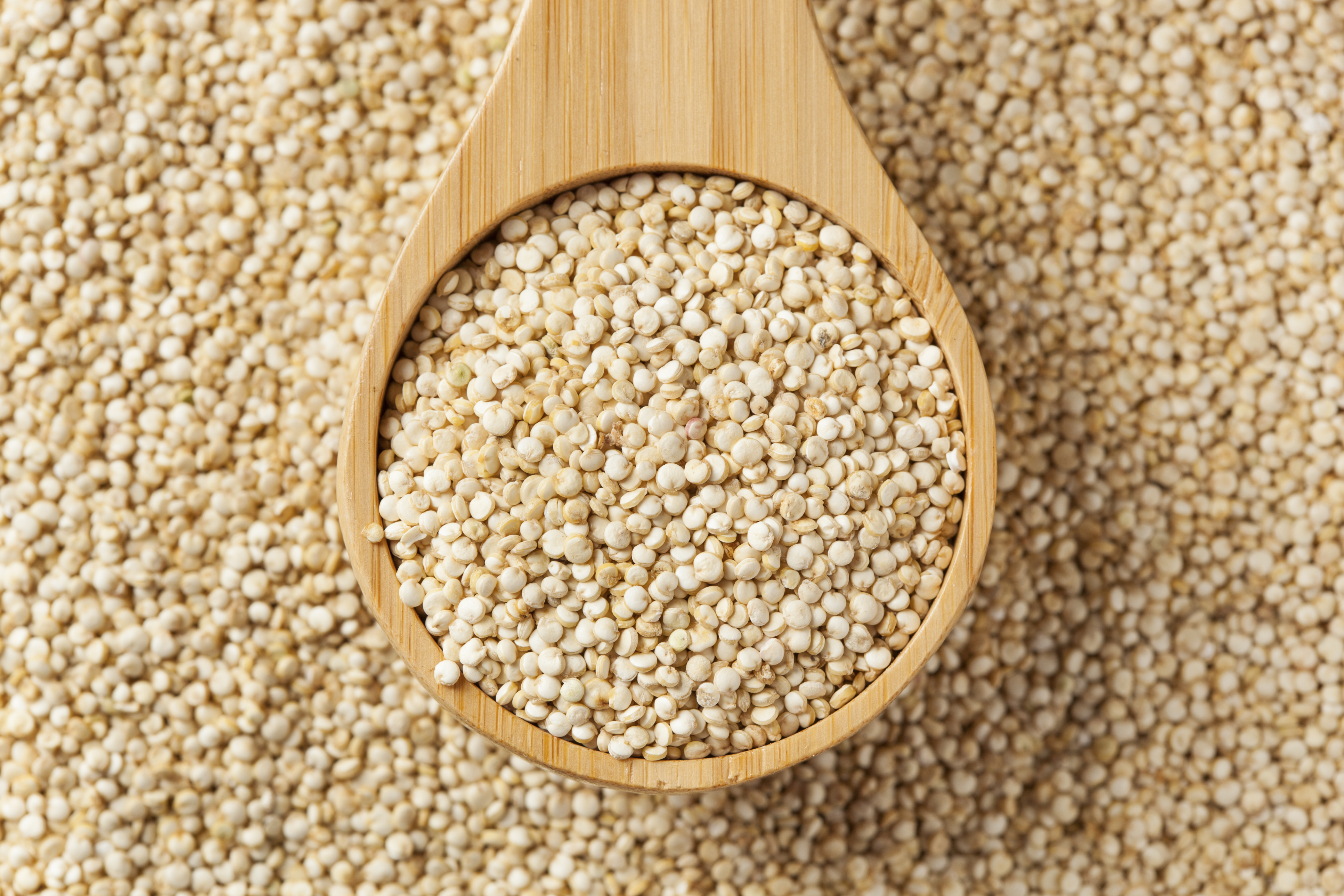 Investigadores descifran el genoma de la quinoa, planta andina esperanza mundial