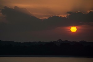 Puesta del sol sobre el bosque amazonico