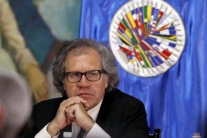 Organizaciones Venezolanas piden OEA activar Carta Democrática 
