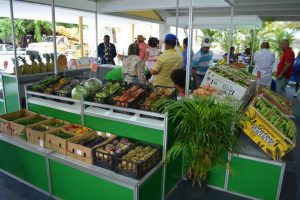 Patronato de Ganaderos espera visita de un millón de personas a Feria Agropecuaria 2017