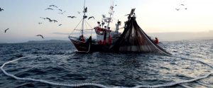 Detienen lancha por pesca ilegal en el golfo de México