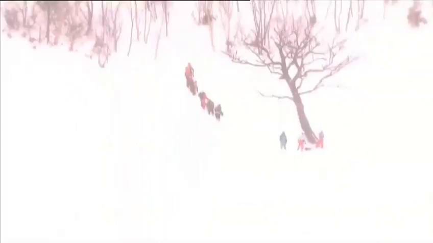 Mueren ocho escolares en Japón por un alud de nieve en una pista de esquí