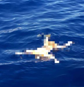 Identifican como uno de los desaparecidos en P. Plata cadáver hallado en aguas del atlántico