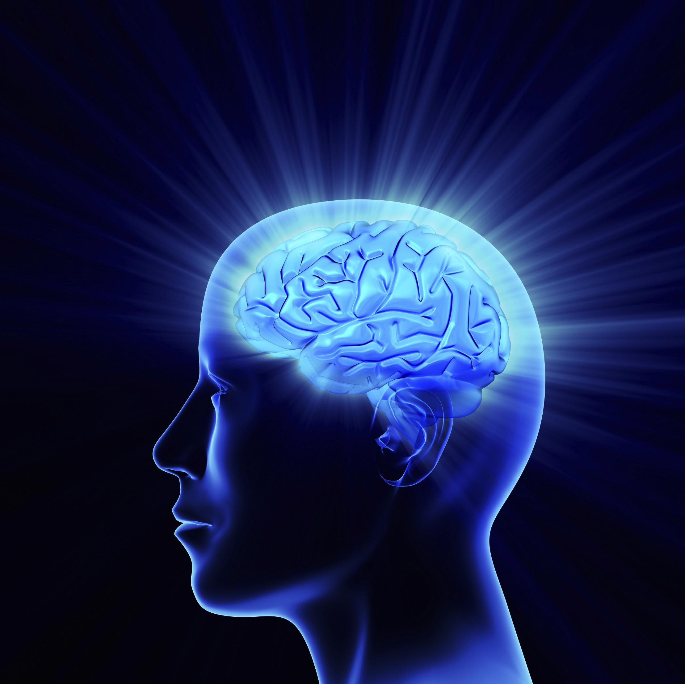 Estudio revela cómo el cerebro humano crea los recuerdos