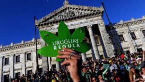 Uruguay comenzará a comercializar marihuana a partir de julio