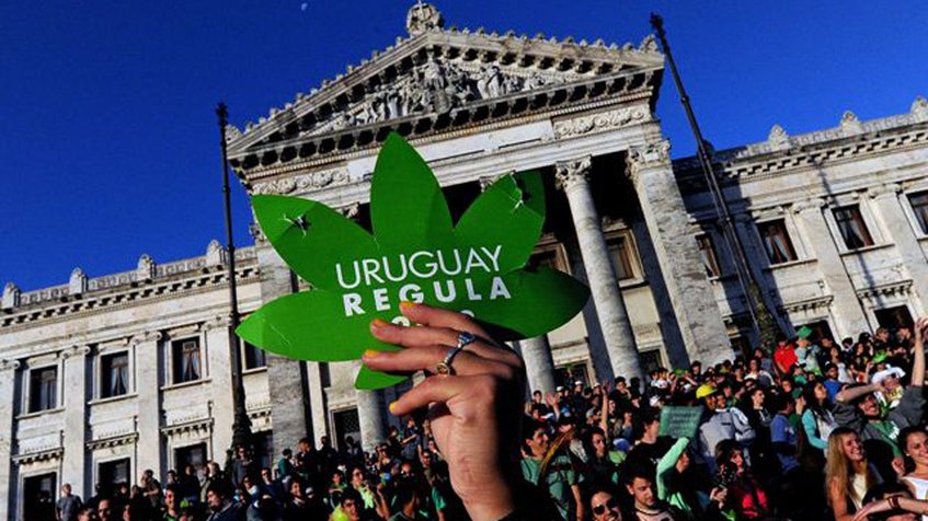 Uruguay comenzará a comercializar marihuana a partir de julio