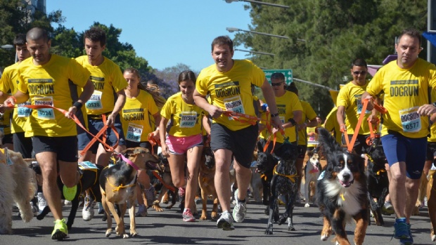 Más de 2.500 personas corrieron con sus mascotas en la novena edición de la "Dogrun" en Palermo