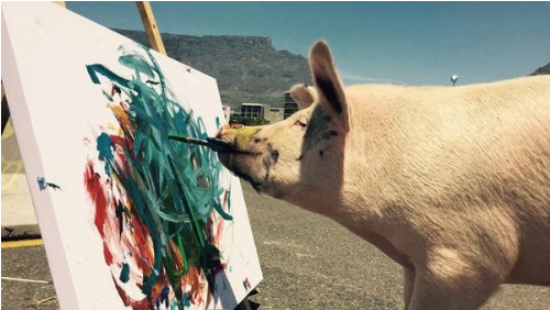 Pigcasso: la cerda que se convirtió en la pintora más famosa de las redes