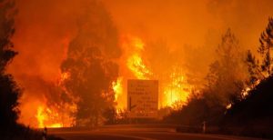 Al menos 19 muertos en un incendio en Portugal